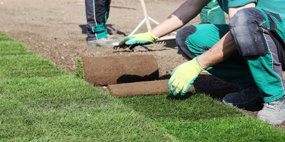 Gardening in Budapest Budapest, in Budapest, Hungary, Gardener, Gardening, Garden service, Landscaping, Tree lopping, felling, Paving service, Patio laying, Asphalt road, Driveway build, Lawn, Fence build, Irrigation system, Maintenance, Design