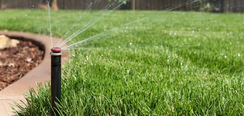 Lawn Care and Mowing Service in Budapest Budapest, in Budapest, Hungary, Gardener, Gardening, Garden service, Landscaping, Tree lopping, felling, Paving service, Patio laying, Asphalt road, Driveway build, Lawn, Fence build, Irrigation system, Maintenance, Design