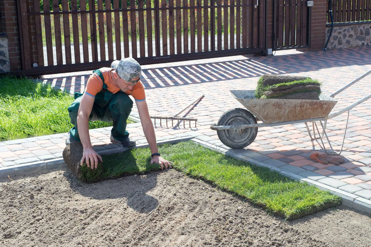 Planting and Garden Maintenance in Budapest Budapest, in Budapest, Hungary, Gardener, Gardening, Garden service, Landscaping, Tree lopping, felling, Paving service, Patio laying, Asphalt road, Driveway build, Lawn, Fence build, Irrigation system, Maintenance, Design